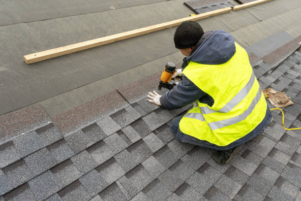 Roof Gutter Cleaning in Mechanicsville, VA